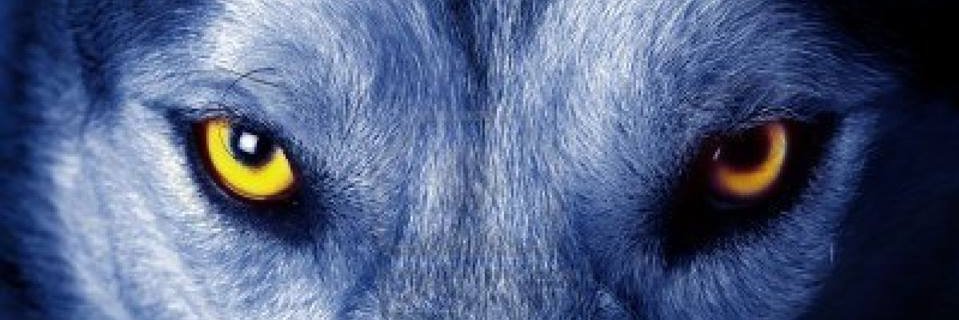 Fran7D's profile banner image