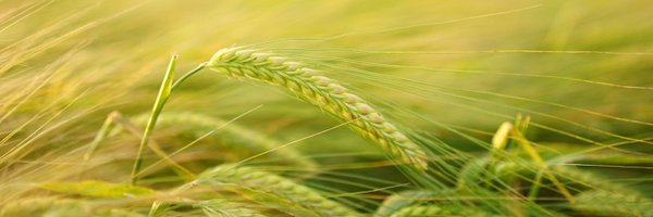 appg_agscience Profile Banner