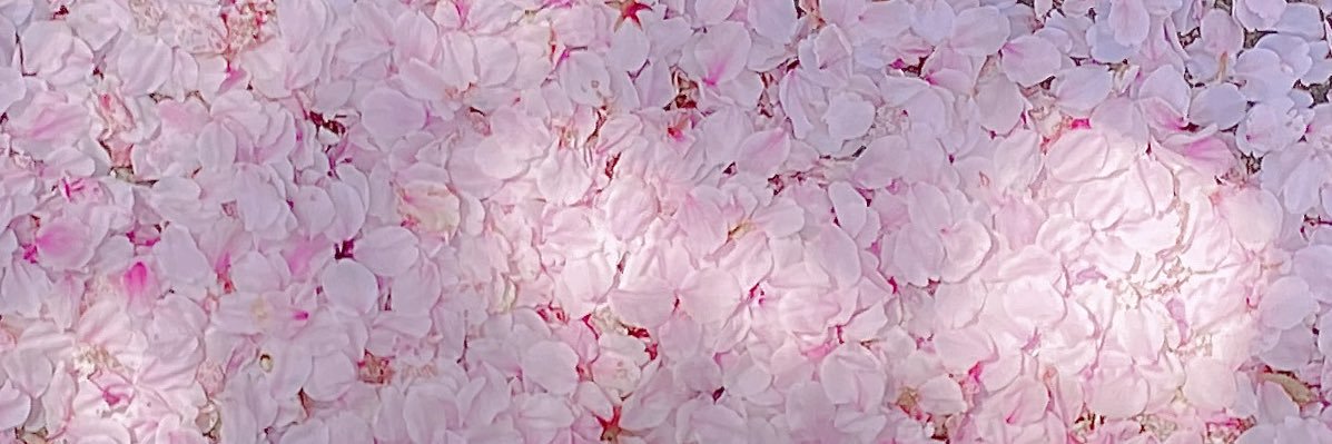amkwb's profile banner image