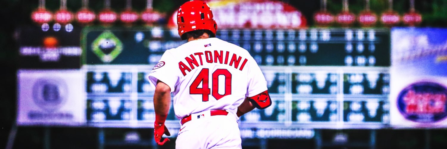 Aaron Antonini banner