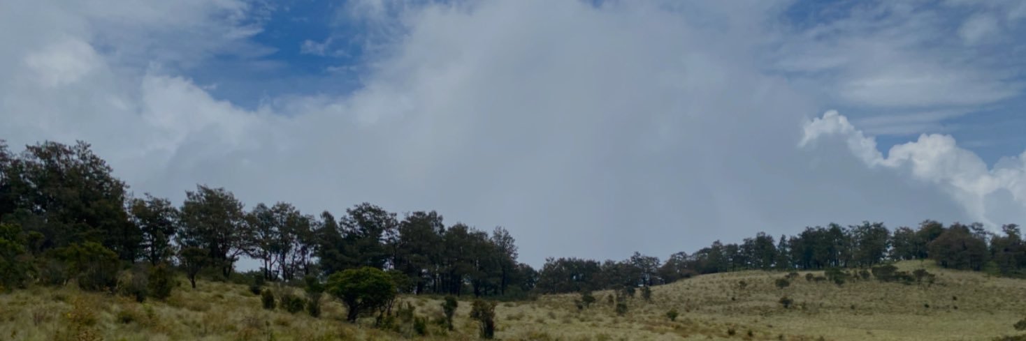 Dyazzz_'s profile banner image