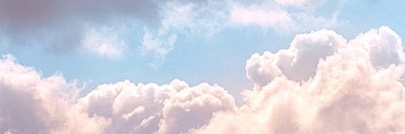 lesa11nt's profile banner image