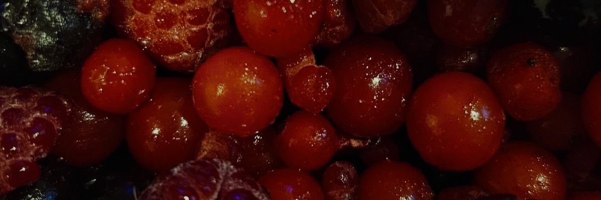 vixen_ev's profile banner image