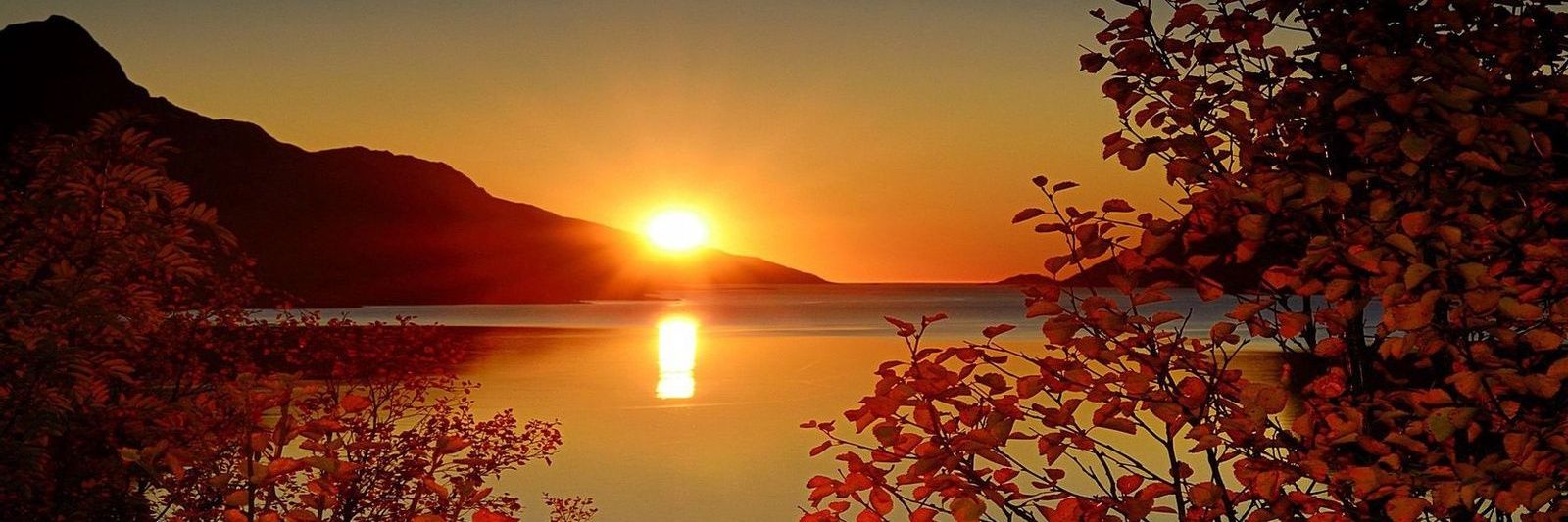 Ⲁ̀ⲣⲧⲉ̅ⲙ🍁 banner