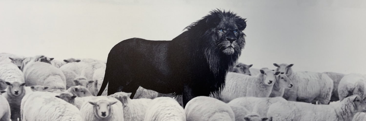 Pierson Watson banner