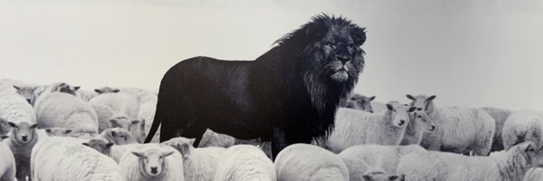 PiersonWatson Profile Banner