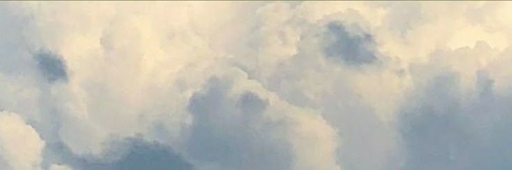 jealibee's profile banner image