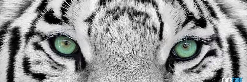 ahmd__jm's profile banner image