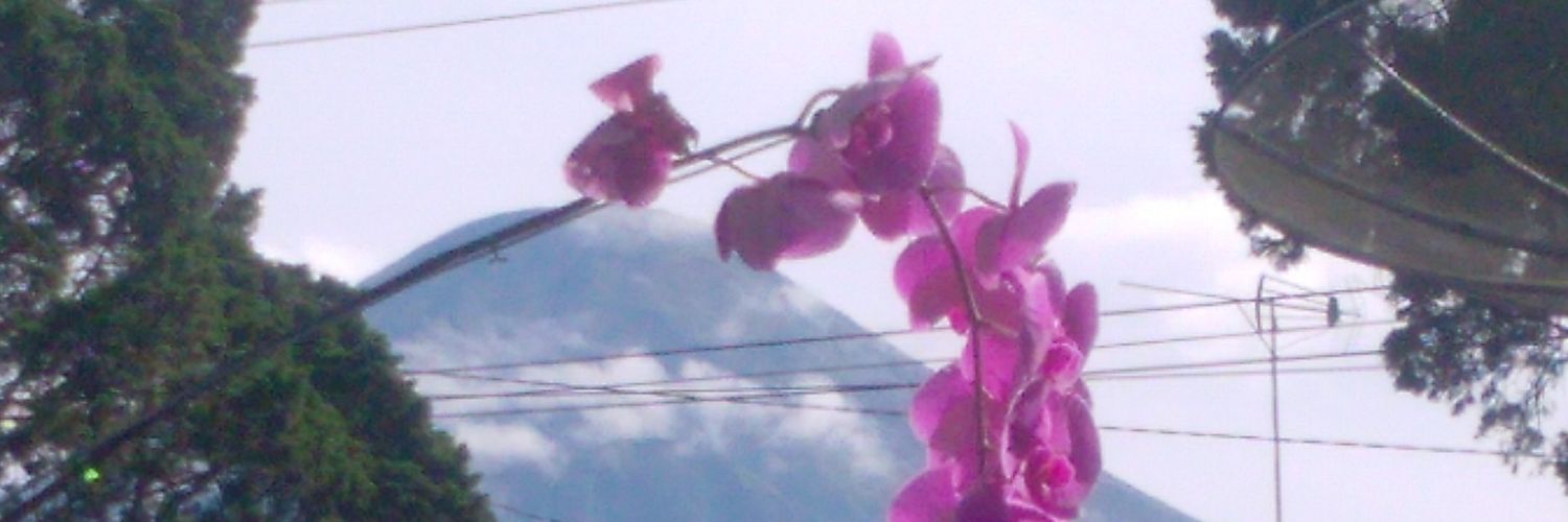 SuryaT17's profile banner image