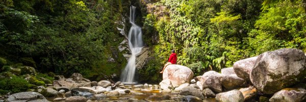 BareKiwi Profile Banner