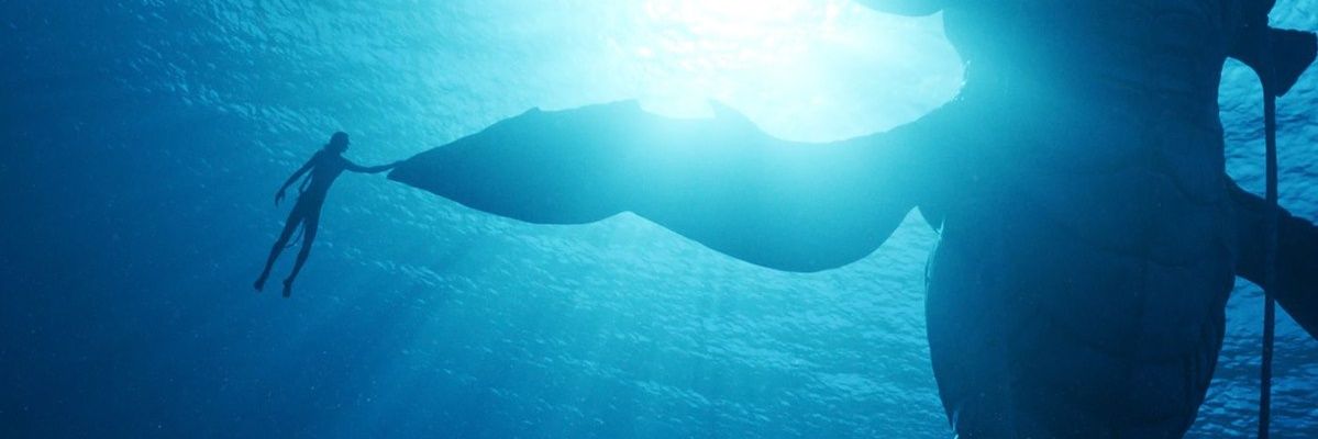 Andrea | wtf gay little venom banner