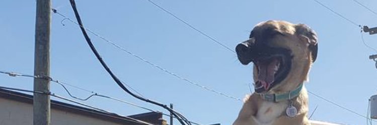 XoBridgettex0's profile banner image