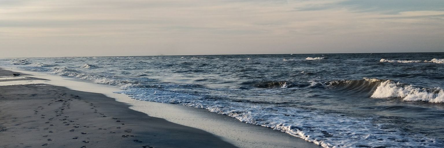 Maxrodriguez001's profile banner image