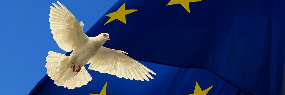 shape Europe's banner