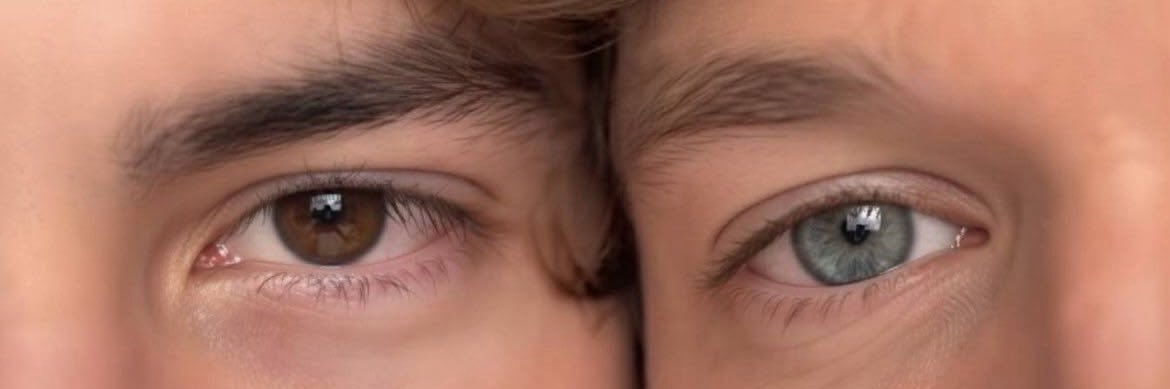 bri 𓏲ּ𝄢 banner