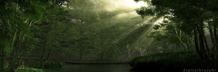 salmoninabucket's profile banner image