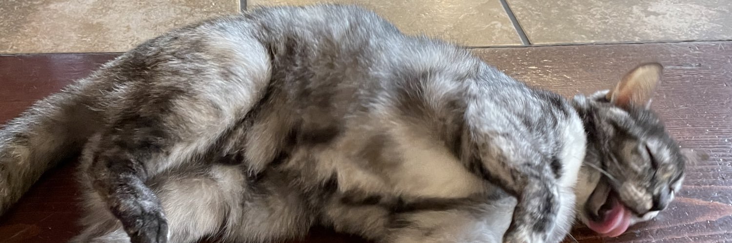 ScottiMarika's profile banner image