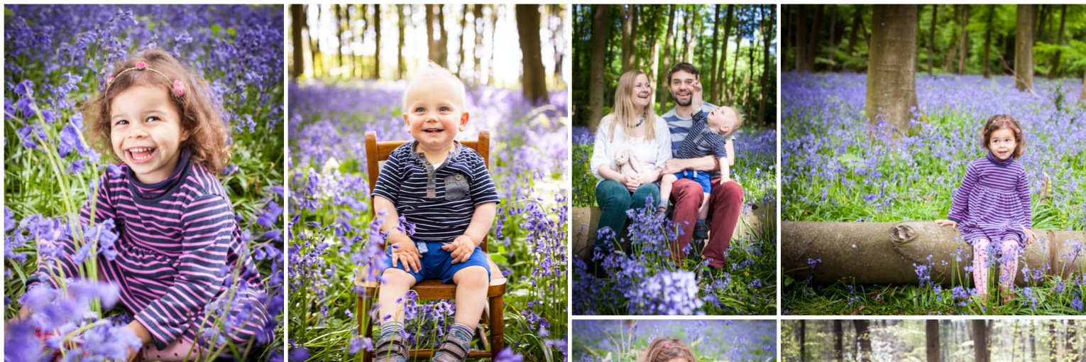 VHaddenPhoto's profile banner image