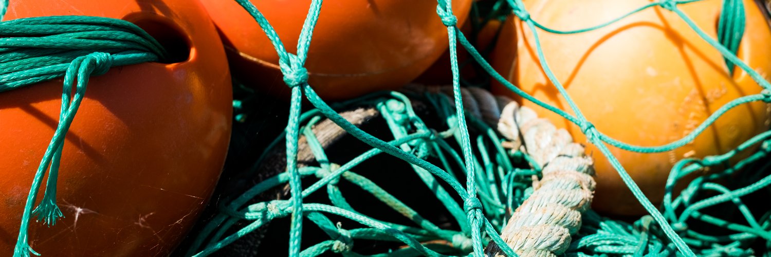 FishingintotheFuture's banner