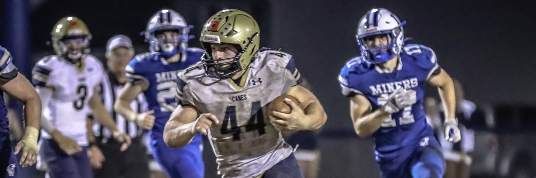 Niko Carestia banner