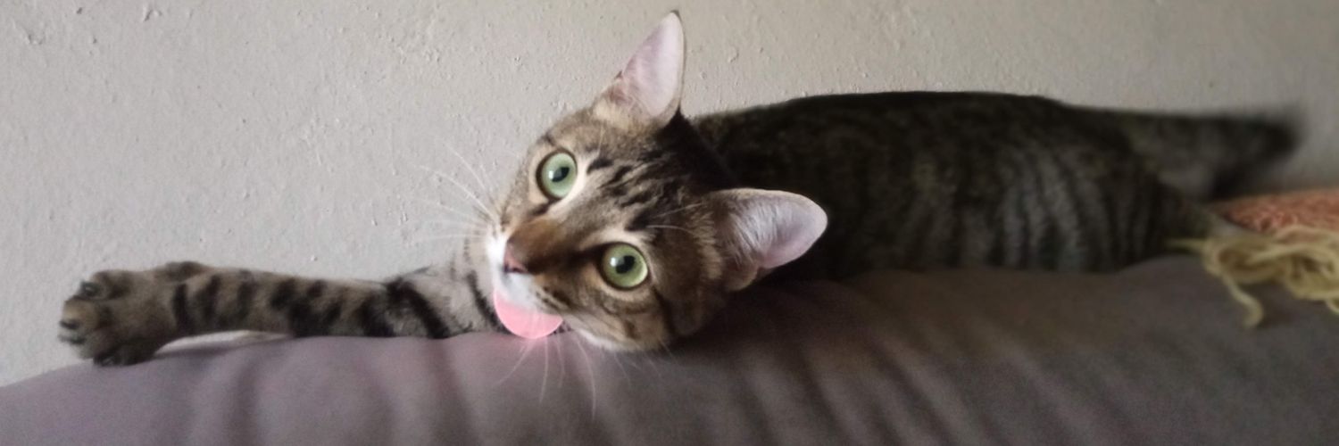 peppouza's profile banner image