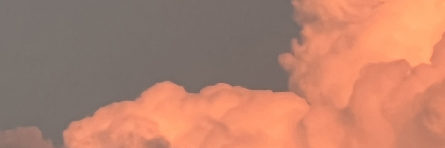 mina 🐥🌸 banner