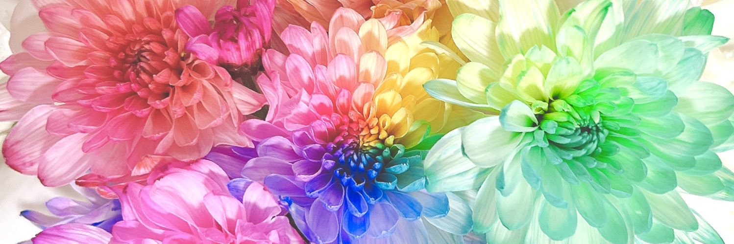 みい banner