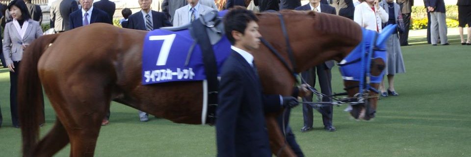 菊池グリグリ banner