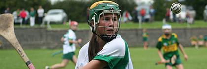 Meath Camogie  banner