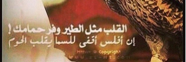 nadr12312's profile banner image