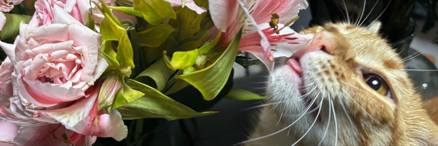 suckitval's profile banner image
