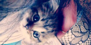 𝓜𝓪𝓵𝓪𝔂𝓪 👑 banner