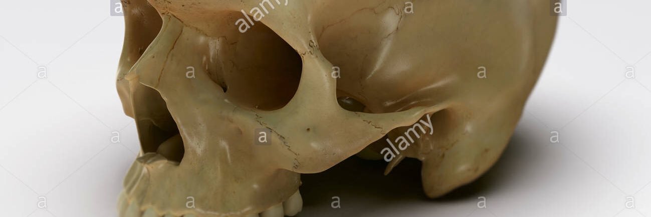 Legless_Skull's profile banner image