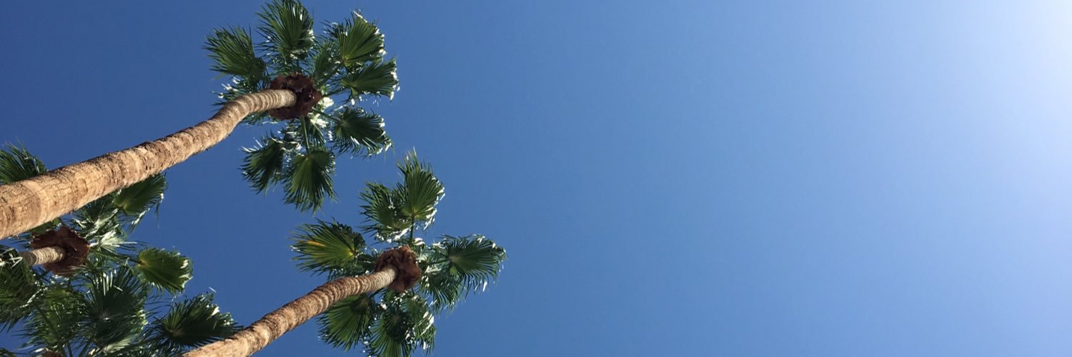 Matt Kersting banner