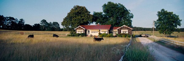 sethscurls Profile Banner