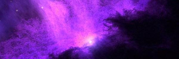 biancastarlite_ Profile Banner