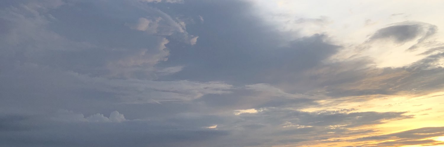 princedies's profile banner image