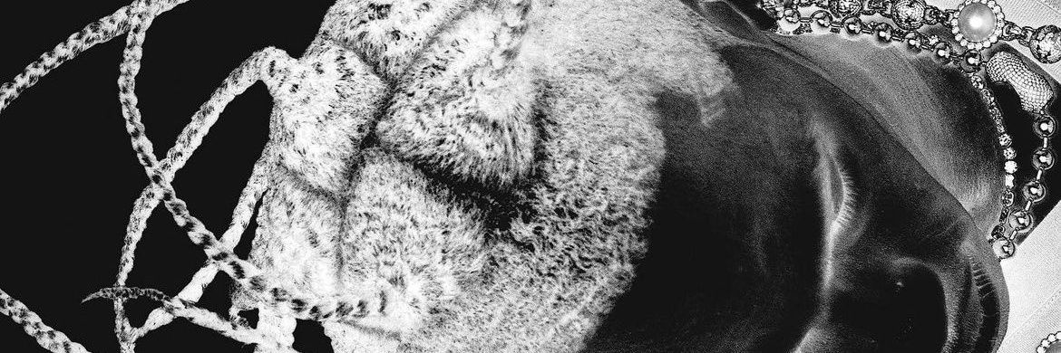 ⭐️ banner