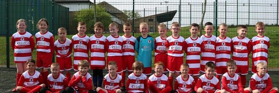 Bonnyrigg Rose 2011s banner