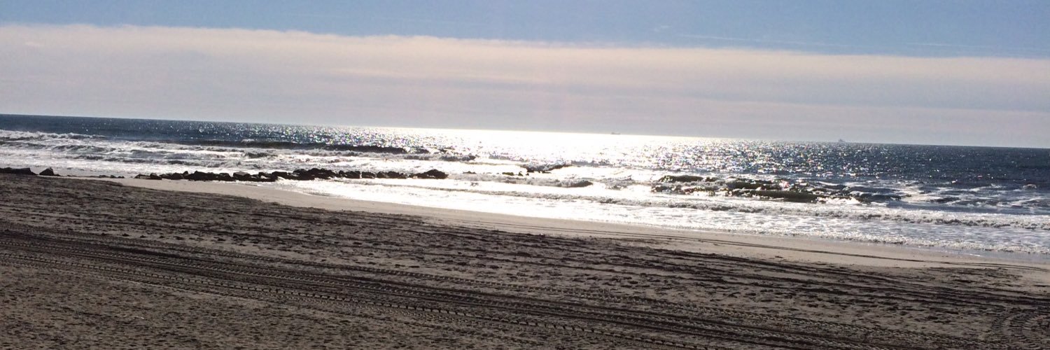 philsavarese's profile banner image
