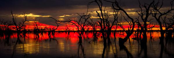 Zozalot Profile Banner