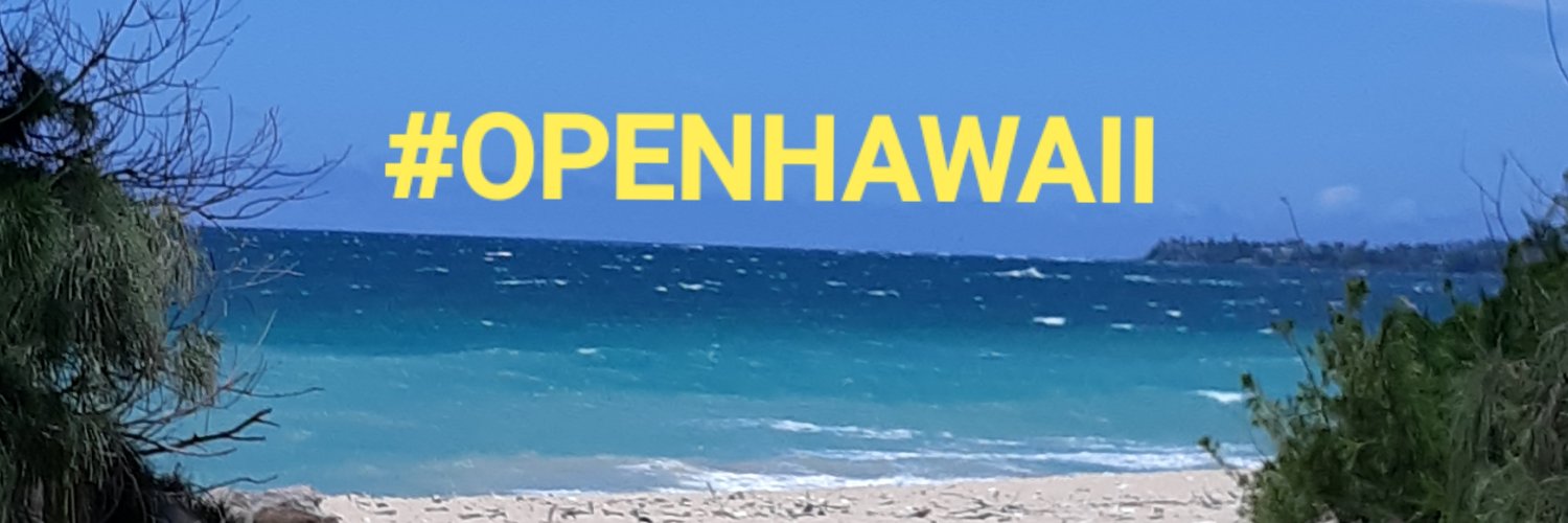 OpenHawaii's profile banner image