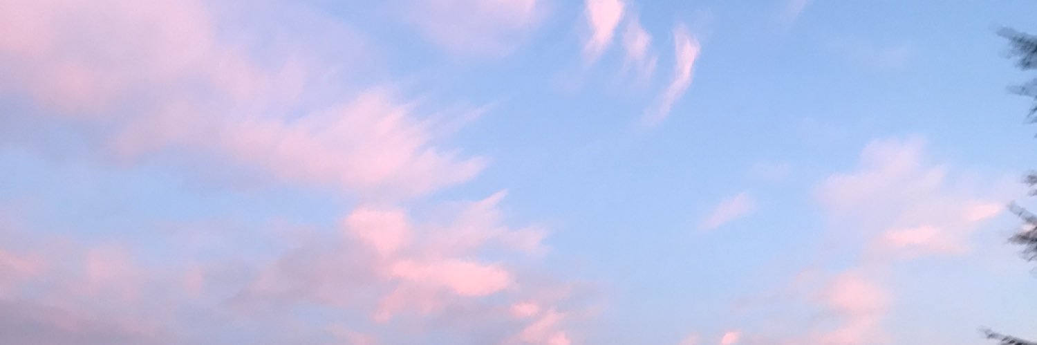 la chics banner