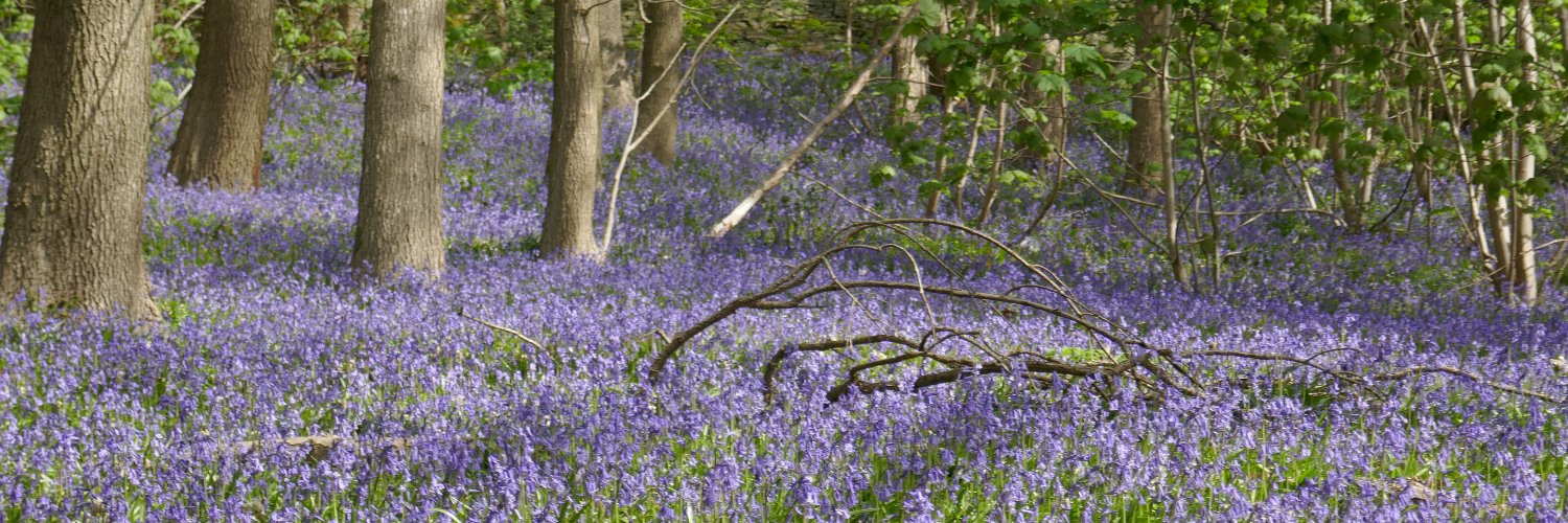 Athelstan the Man banner