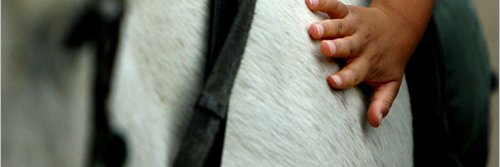 NZRDA's profile banner image