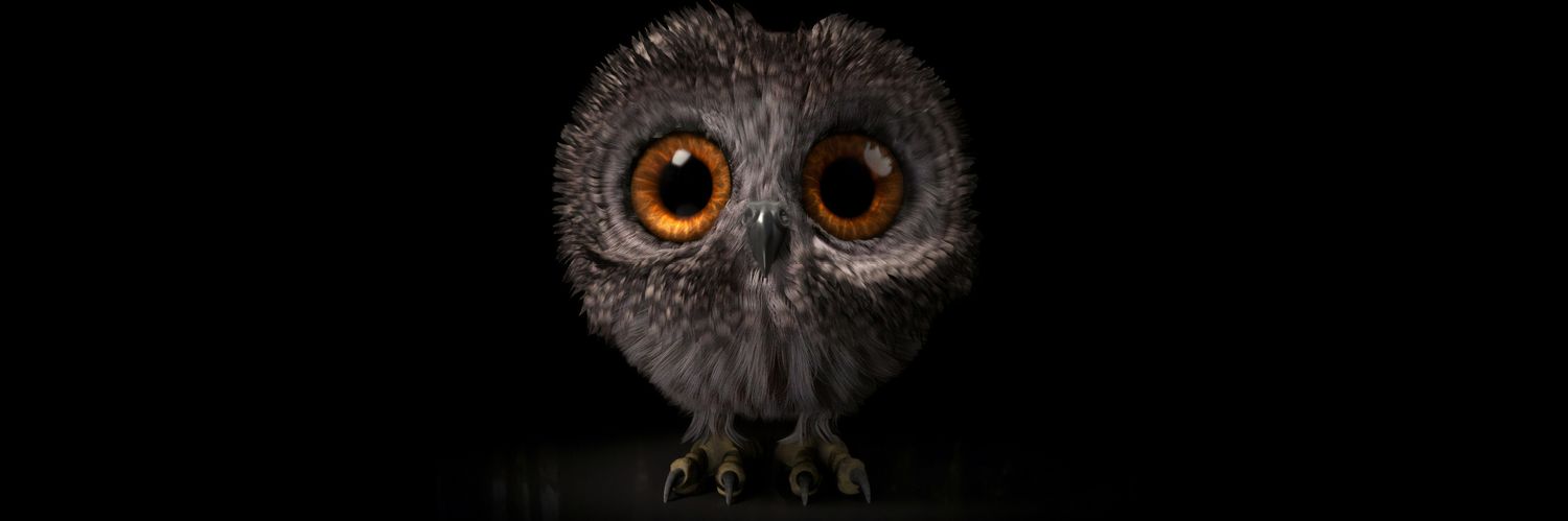 Rowan_Omran's profile banner image
