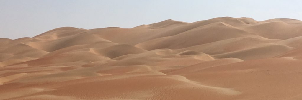 Negardner's profile banner image