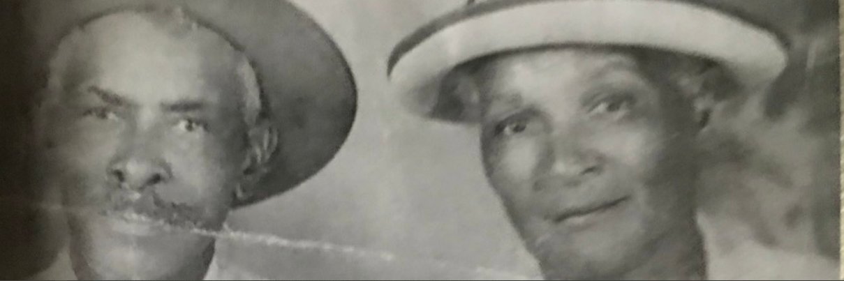 BookFly 🔥❤️ banner