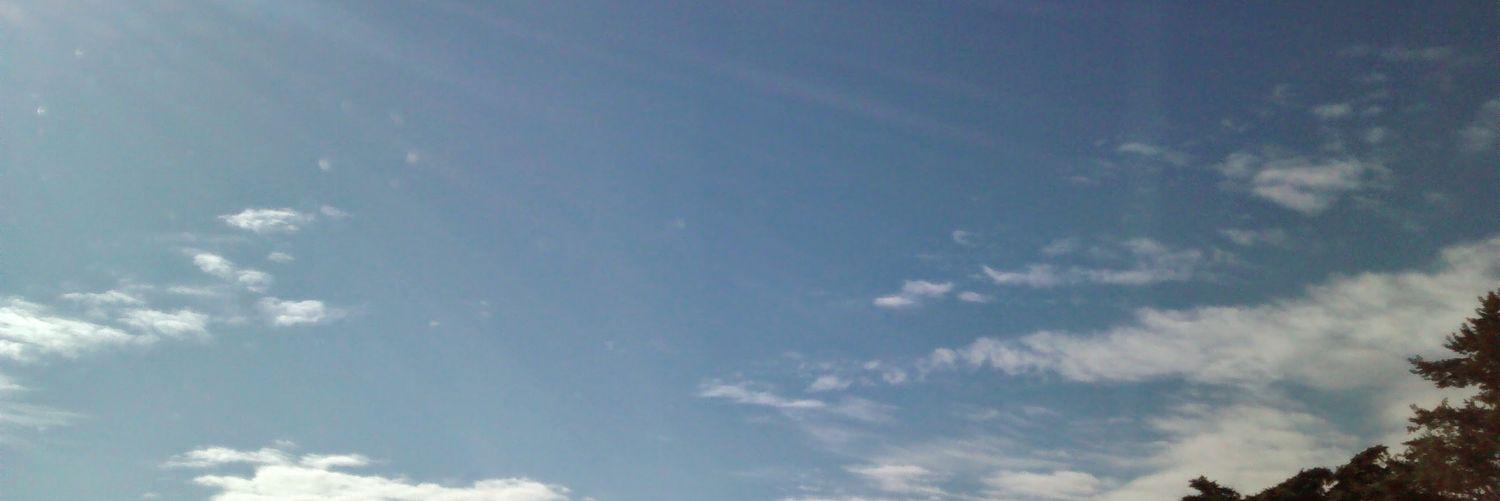 Jose Manuel banner