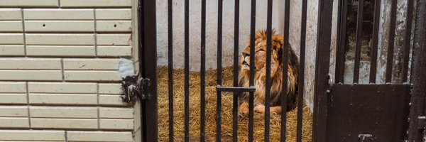 camwhitnall Profile Banner